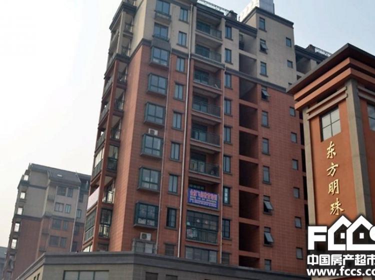 东方明珠嘉苑最新动态揭秘,市场热议与个人观点综述