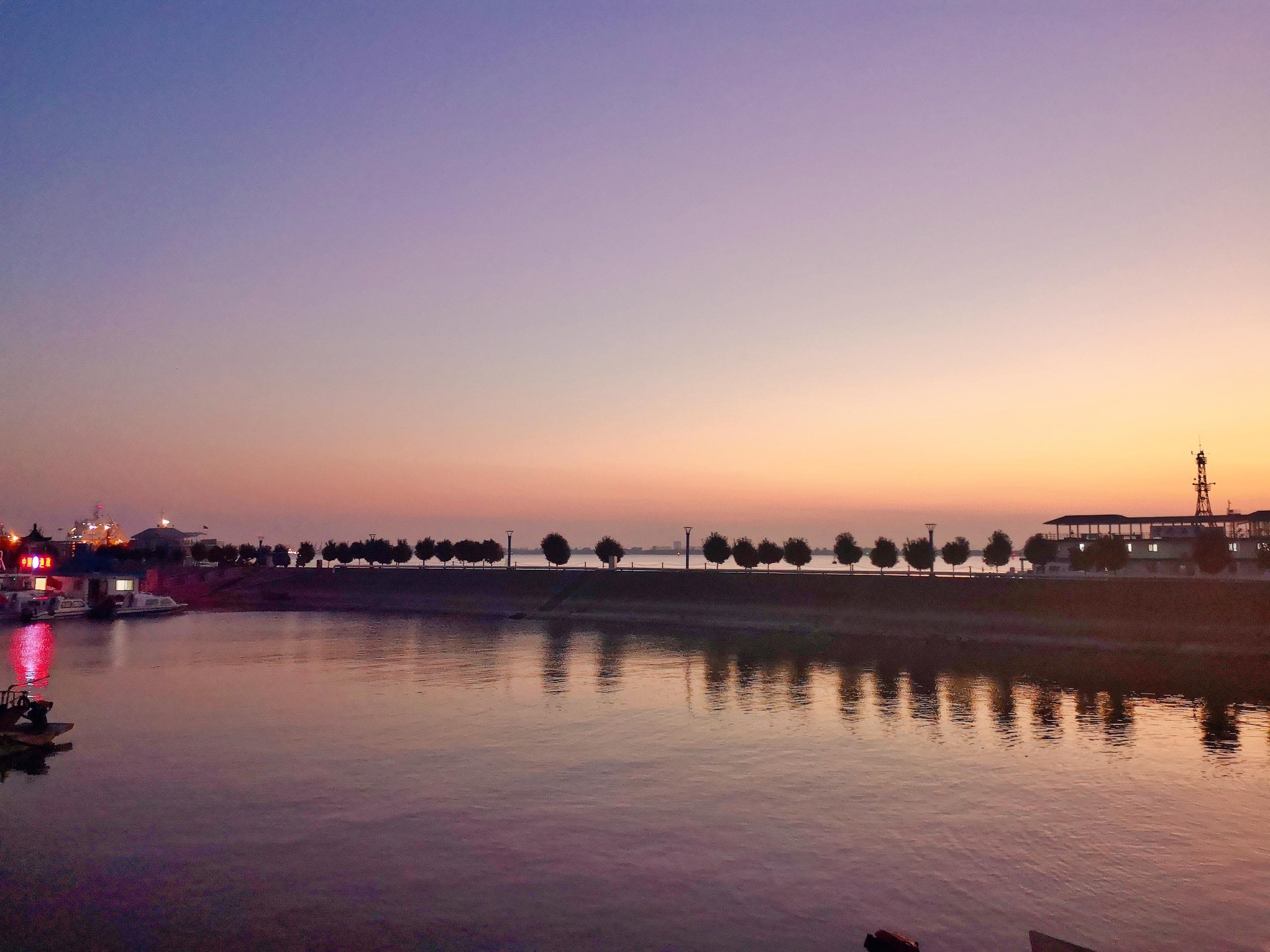 家庭餐桌新宠,创新鱼造型菜鱼跃新篇