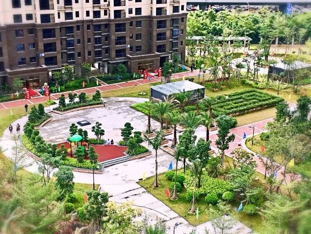 杏林凤凰花城最新楼价与温馨楼市故事揭秘