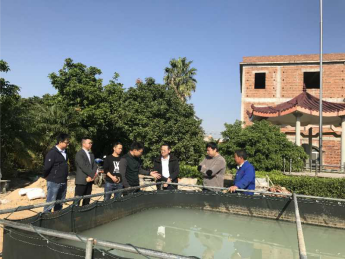 龙海港尾镇急招人才,小镇的温馨呼唤,等你来加入!