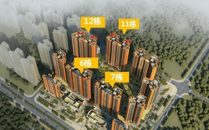 加纳淘金最新消息深度解析与进展报告