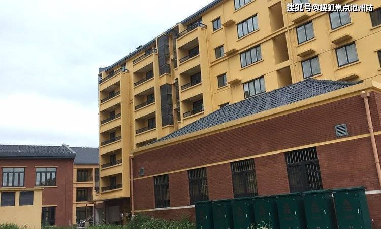 加纳淘金最新消息深度解析与进展报告