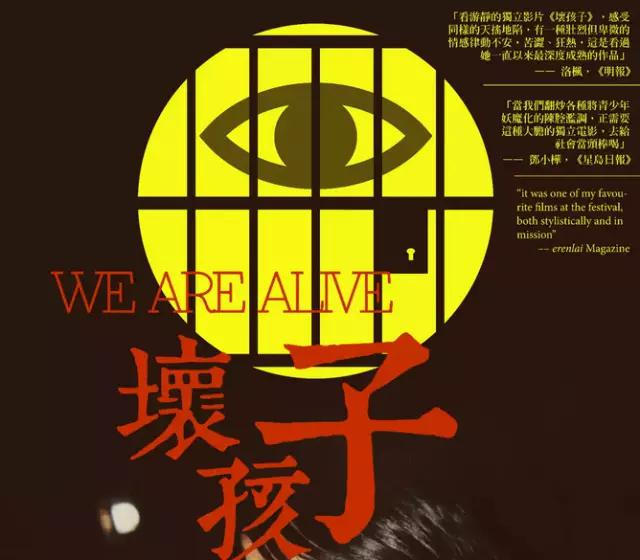 中国最新纪录片观点论述,深度剖析与探讨纪录片魅力所在