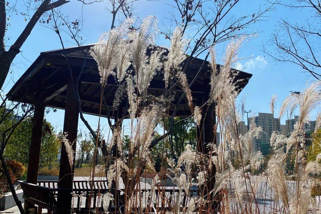 大孤山动迁最新进展,温馨变迁与家园故事回顾