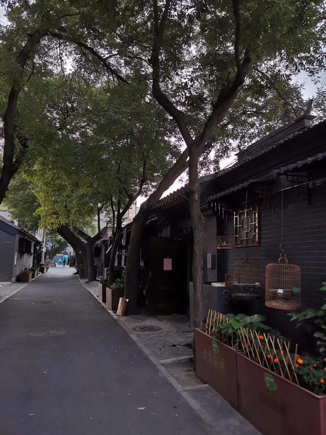 西安拆违建最新动态,古都迎来崭新篇章!