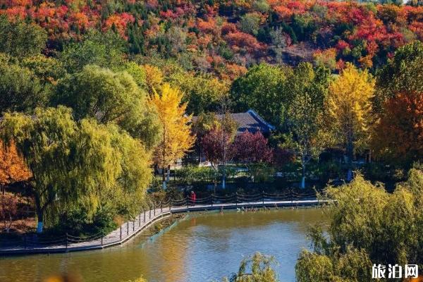 北宫森林公园最新公告通知