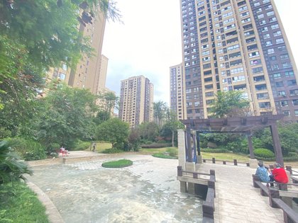 鸥鹏泊雅湾最新动态更新,最新进展与资讯汇总