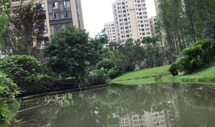 鸥鹏泊雅湾最新动态更新,最新进展与资讯汇总