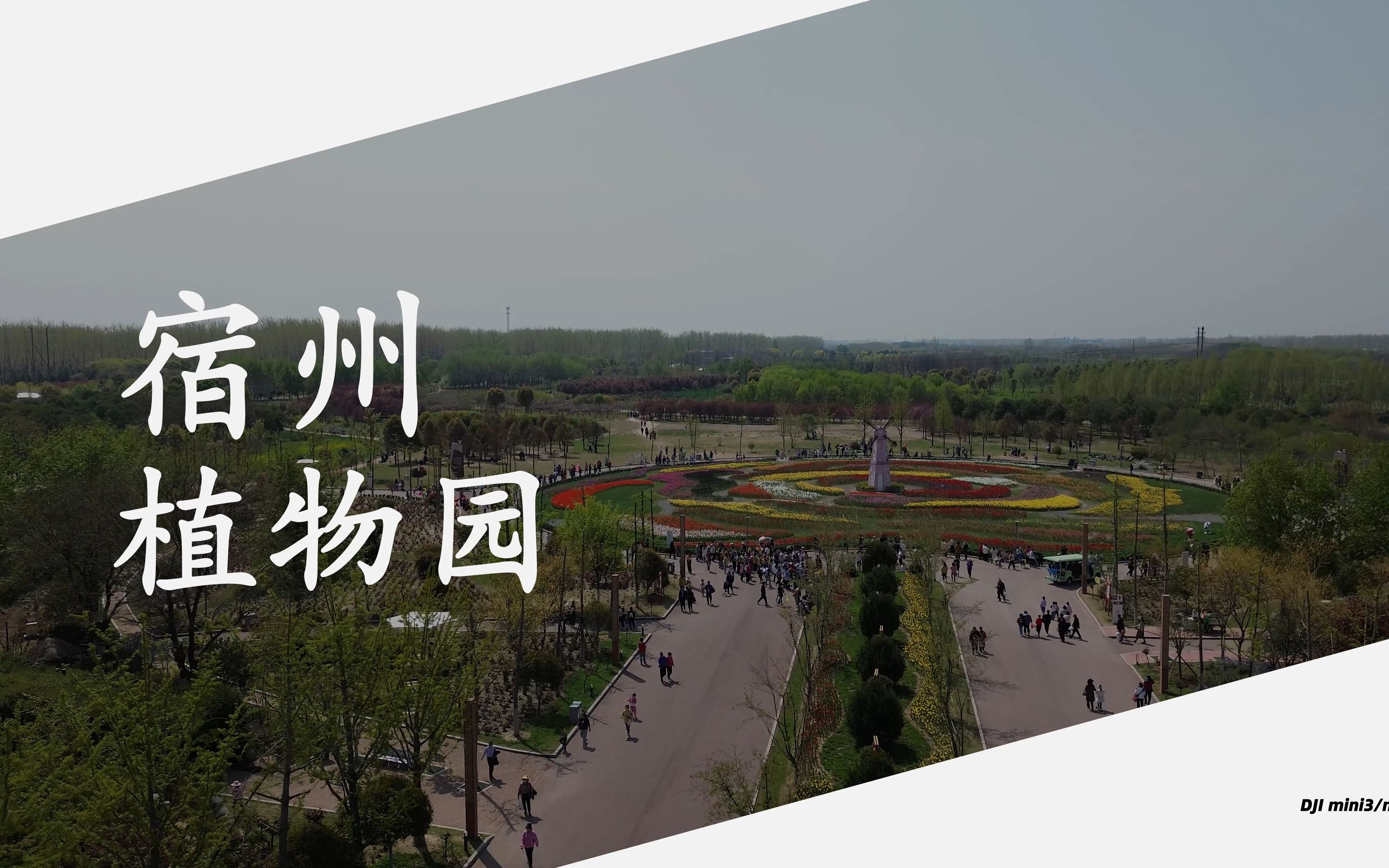 宿州植物公园最新动态解析,我的观察与见解