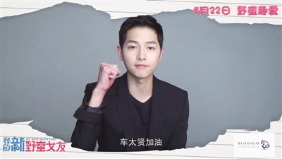 宋仲基最新采访视频观看指南,从初学者到进阶用户的观看步骤解析