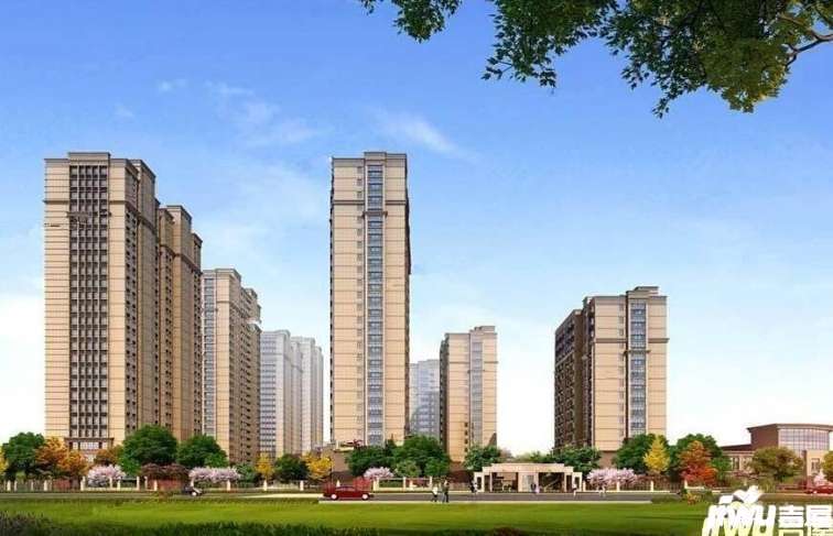 新浦滨河新区最新动态,小巷深处的独特风情