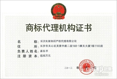 成资快速通道最新动态详解,最新进展与步骤指南