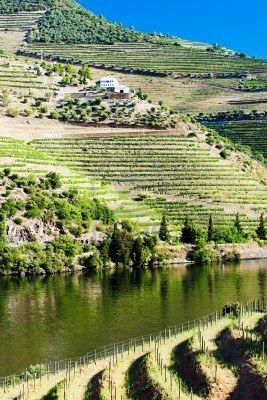 博野房屋最新出售消息,与自然美景相遇,内心平和的安居之旅