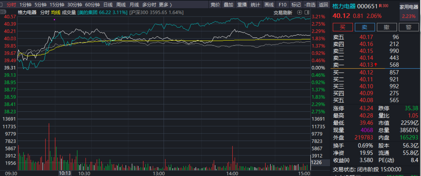 格力电器资金流向揭秘,小巷深处的投资机遇