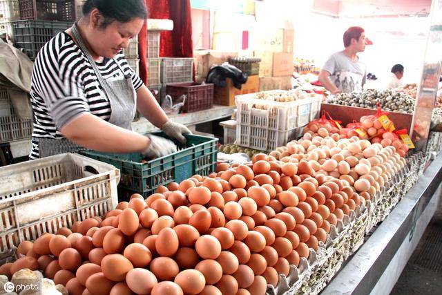今日全国鸡蛋批发行情深度解析