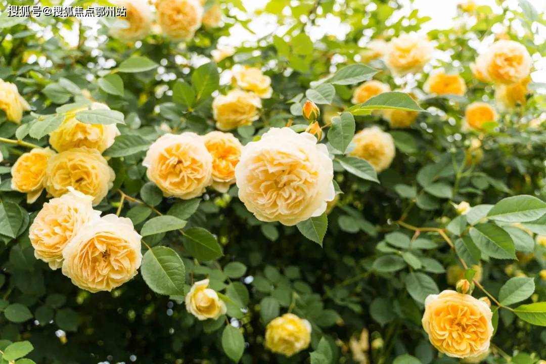 000157行情深度解析,洞悉市场走势