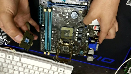 最新电脑CPU与温馨日常体验