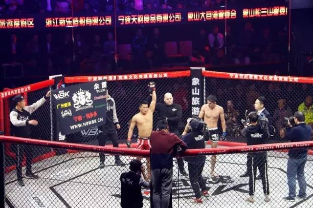 最新格斗比赛视频,赛场激情与友情交织的格斗故事