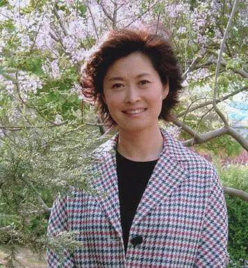 矛3最新,日常趣事与友情的交织温馨纽带