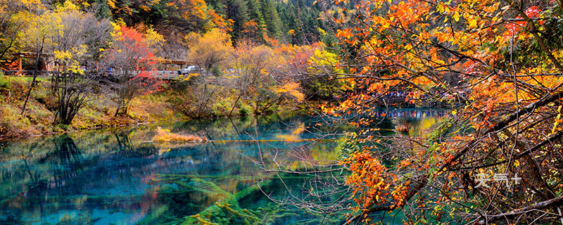 九寨沟淡季门票价格详解及优惠信息梳理