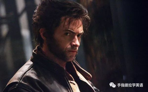 拳狼电影中的英勇角色与璀璨明星阵容介绍