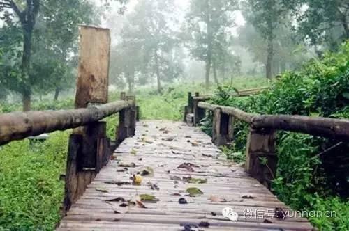 普洱市公共租赁住房最新动态,与自然美景交融,内心宁静的寻觅