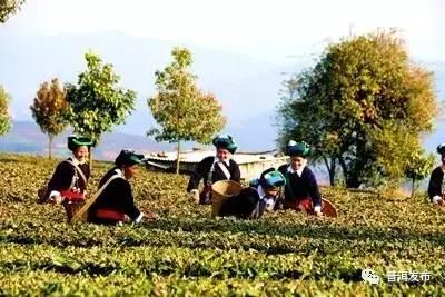 普洱市公共租赁住房最新动态,与自然美景交融,内心宁静的寻觅