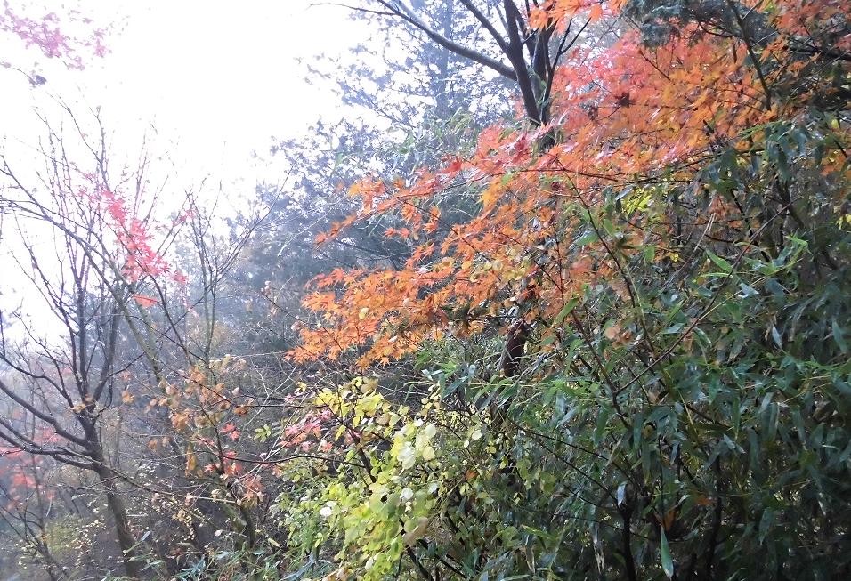 七十年代演员的心灵之旅,自然美景的踏访之旅