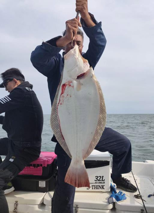 小鱼人全新装备攻略详解