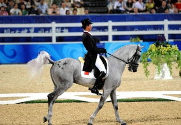 马术比赛女子,科技带来的骑乘新体验革命