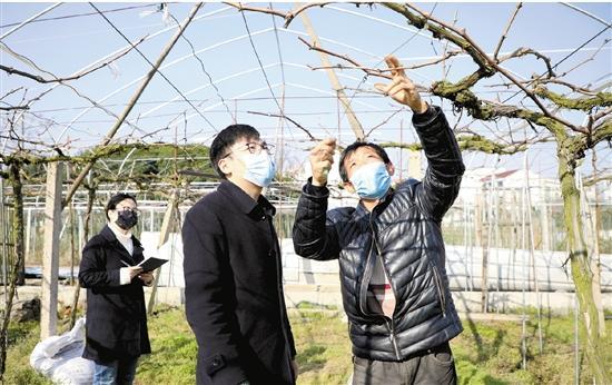 浦江疫情最新动态详解,初学者与进阶用户的步骤指南