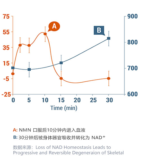 NMNN11最新资讯揭秘,特定领域的影响力与地位