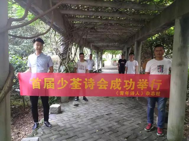 合肥少荃湖的新篇章,湖畔变革与自我超越之旅