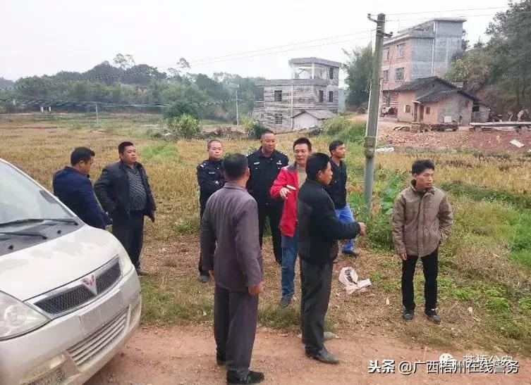 大银幕上的生死救援,搜救电影探寻之旅