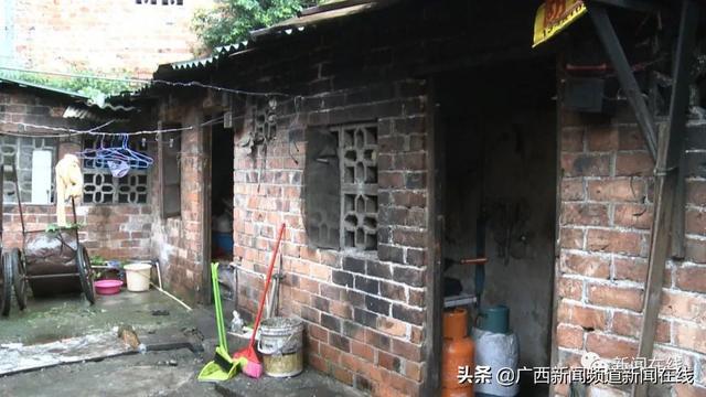 巷弄深处的味觉惊喜,一亩田行情探秘