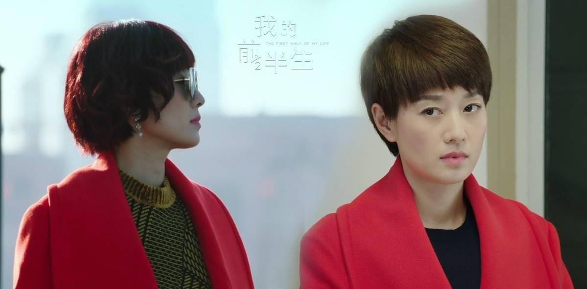 电视剧我的前半生演员介绍及角色指南