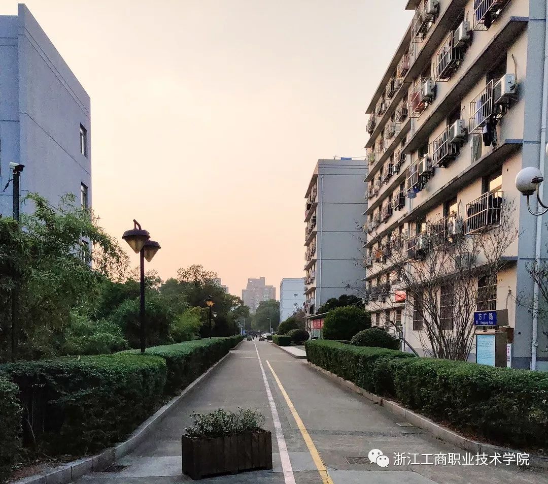 新沂新闻网最新资讯,小巷深处的独特风味——隐藏版特色小店揭秘