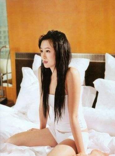 演员戴菲,演艺之路的璀璨之星