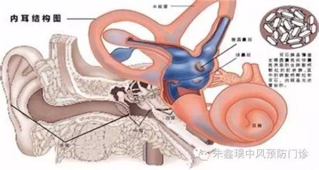 足部输液最新教程,小巷深处的神秘绿洲探索