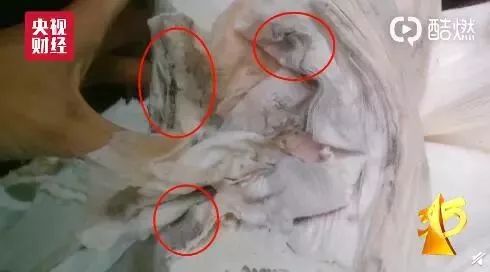 足部输液最新教程,小巷深处的神秘绿洲探索