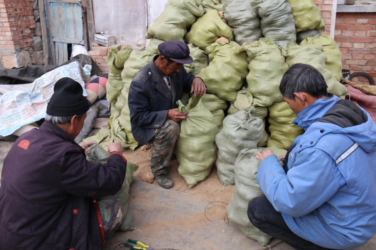 山东山药市场动态,山药背后的故事与家的温暖