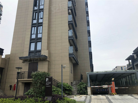 天海望府最新动态,学习变化,自信塑造未来