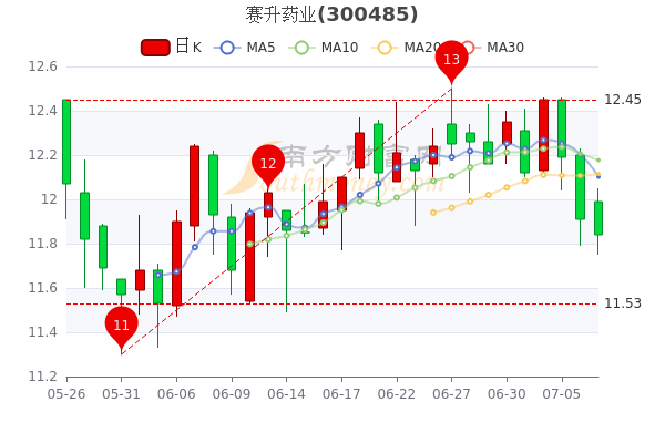 赛升药业股票行情,时代脉搏与行业翘楚的紧密联动