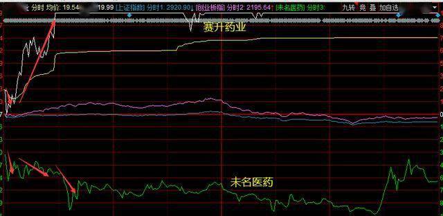 赛升药业股票行情,时代脉搏与行业翘楚的紧密联动