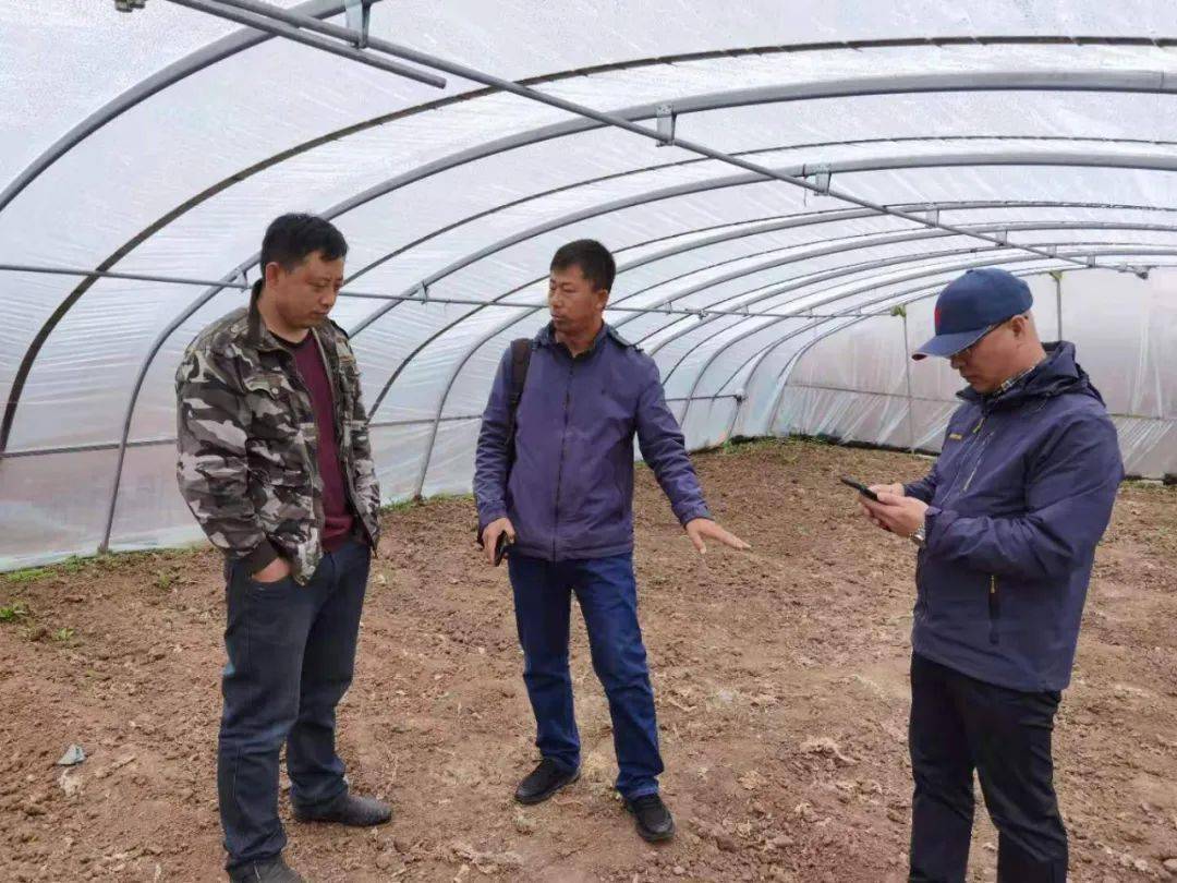 最新羽绒服工厂,学习、自信与成就的力量驱动变革