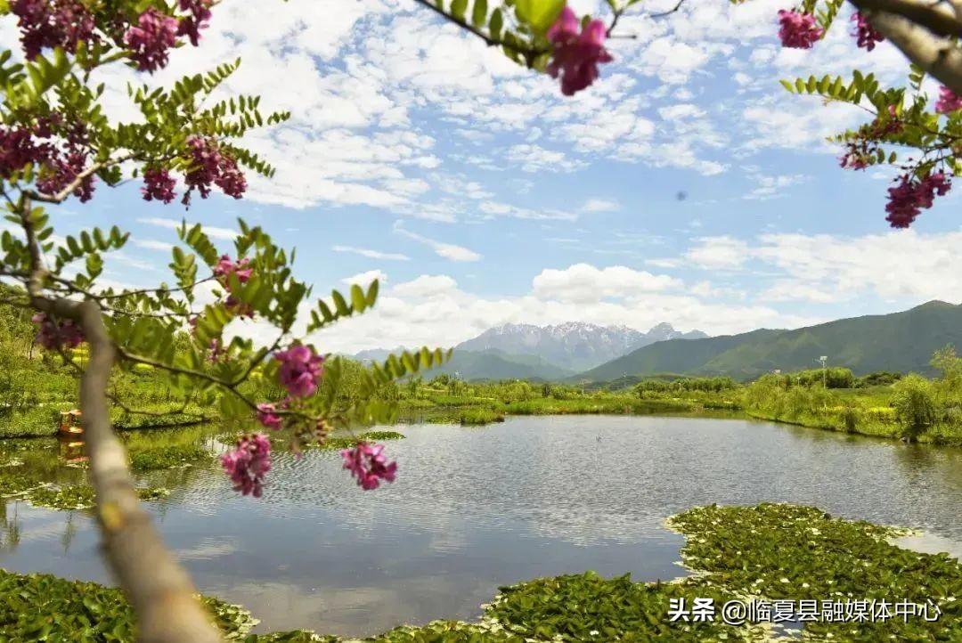 平湖电子厂招聘信息揭秘,小巷中的职业宝藏,探索未来职场之路!