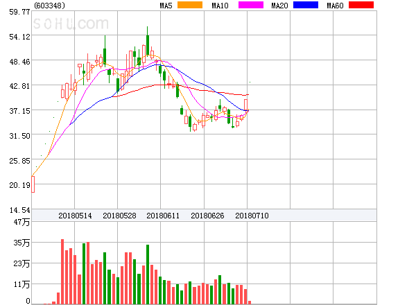 文灿股票行情深度解析,投资前景展望