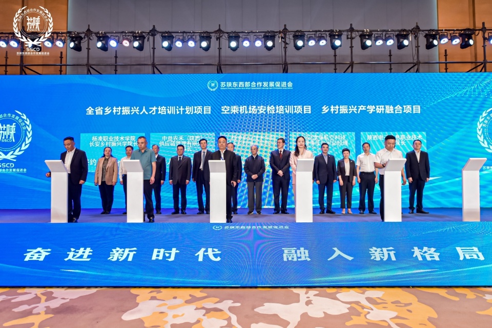 中国最新发展动态概览