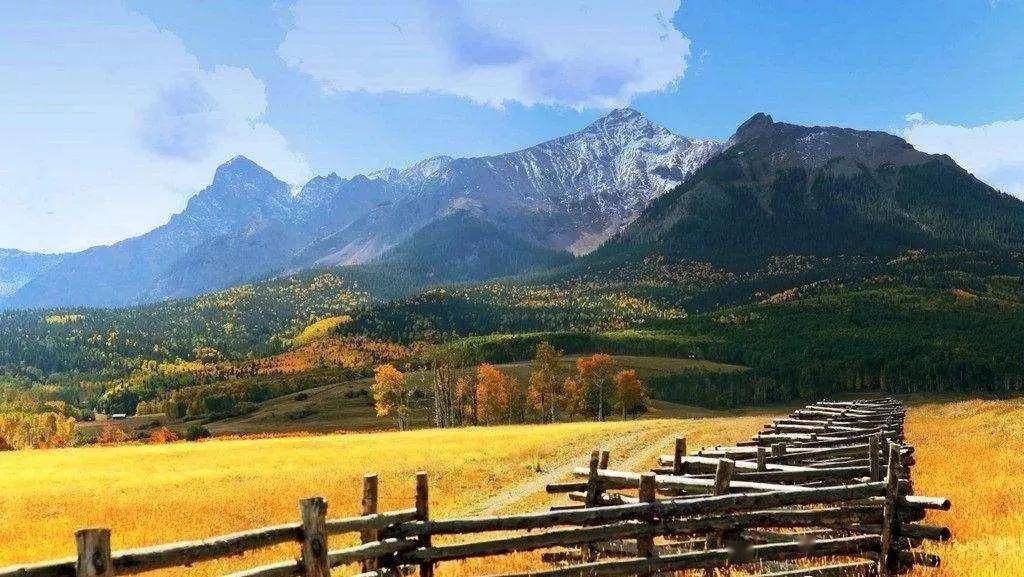 斑比赛,自然美景探险之旅的盛宴