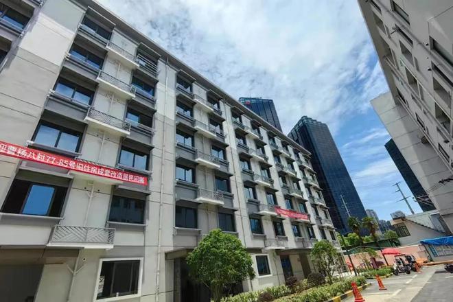 徐开骋最新动态,多维度视角下的深度探讨